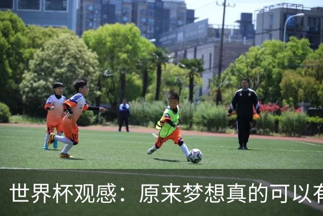 世界杯观感：原来梦想真的可以有，只是国足无力实现